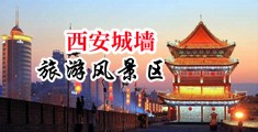 被大鸡巴操逼太爽了啊啊啊视频啊啊啊中国陕西-西安城墙旅游风景区