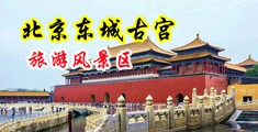 操弄肉洞视频中国北京-东城古宫旅游风景区
